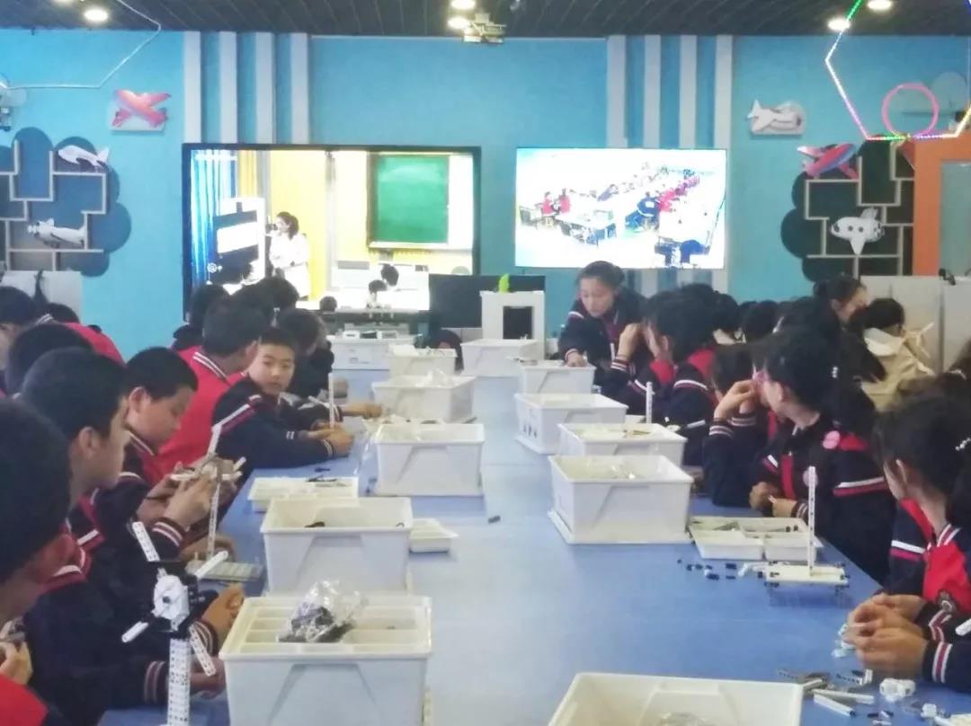 1564456055767424.jpg 4.jpg